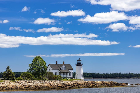 Lighthouse in Prospect Harbor-Maine-USA Black Ornate Wood Framed Art Print with Double Matting by Haney, Chuck