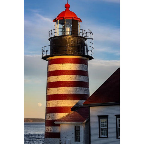 West Quoddy Head Lighthouse is easternmost point in USA near Lubec-Maine-USA Black Modern Wood Framed Art Print by Haney, Chuck