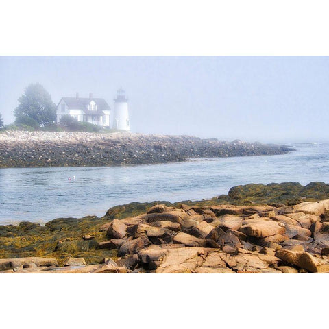 Maine Prospect Harbor Light-Prospect Harbor Point-Winter Harbor Black Modern Wood Framed Art Print by Eggers, Julie