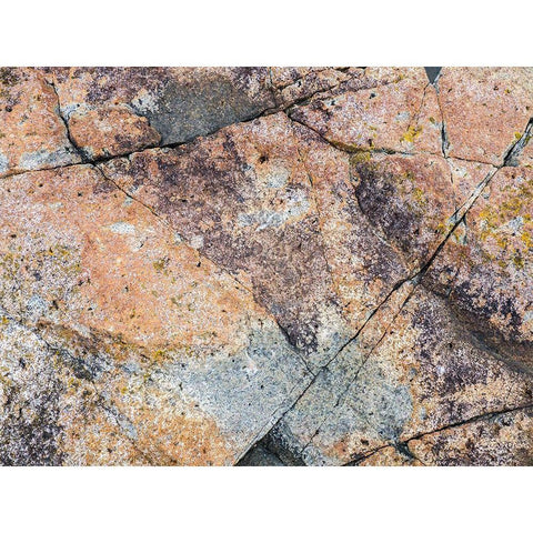 Maine Patterns on rock on the beach near Thunder Hole in Acadia National Park Black Modern Wood Framed Art Print with Double Matting by Eggers, Julie