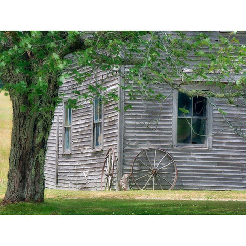 Maine Historic Stone Barn Farm (1820) in Bar Harbor Black Modern Wood Framed Art Print by Eggers, Julie