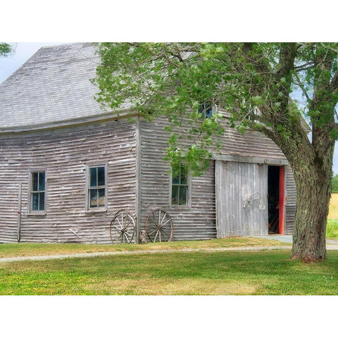 Maine Historic Stone Barn Farm (1820) in Bar Harbor White Modern Wood Framed Art Print by Eggers, Julie