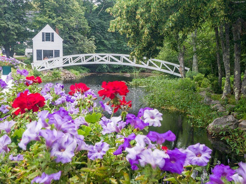 Maine Somesville bridge in Acadia National Park with petunias and geraniums in the foreground White Modern Wood Framed Art Print with Double Matting by Eggers, Julie