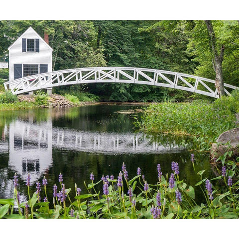 Maine Somesville bridge with reflection in Acadia National Park Black Modern Wood Framed Art Print by Eggers, Julie