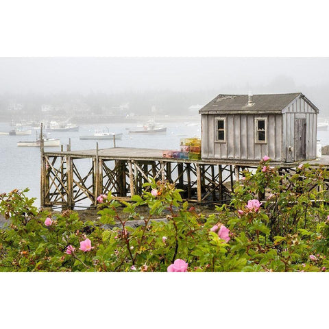 Maine Bernard fishing village-Mount Desert Island-Maine-USA Gold Ornate Wood Framed Art Print with Double Matting by Eggers, Julie
