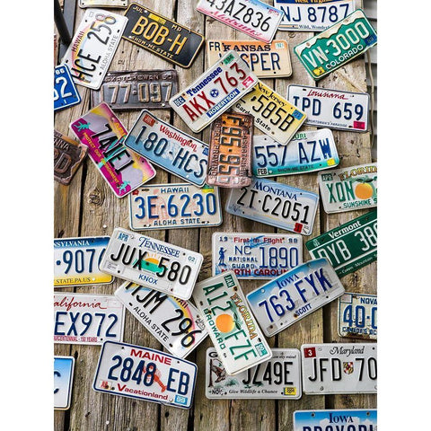 Maine License plates on Old Wall in Bar Harbor Black Modern Wood Framed Art Print with Double Matting by Eggers, Julie
