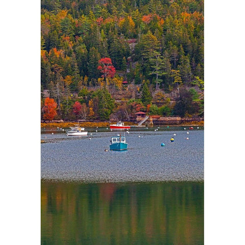 USA-New England-Maine-Mt-Desert-Southwest Harbor with wooden boats Black Modern Wood Framed Art Print by Gulin, Sylvia