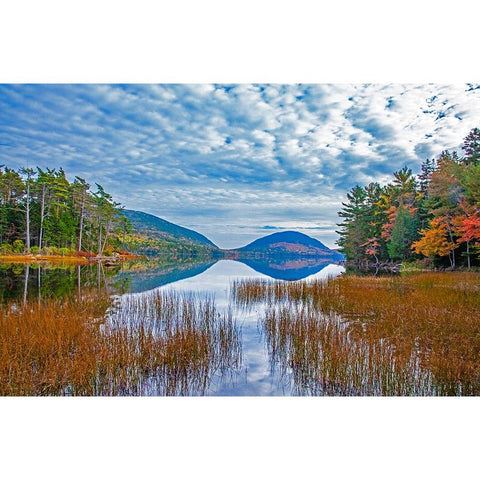 USA-New England-Maine-Acadia National Park and Jordon Pond on very calm Autumn day White Modern Wood Framed Art Print by Gulin, Sylvia