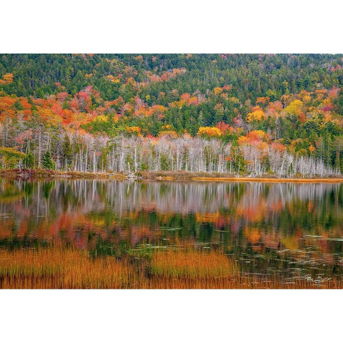 USA-New England-Maine-Mt-Desert Island-Acadia National Park with small lake with hillsides in Autum White Modern Wood Framed Art Print by Gulin, Sylvia