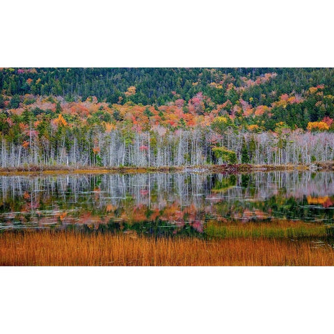 USA-New England-Maine-Mt-Desert Island-Acadia National Park with small lake with hillsides in Autum Gold Ornate Wood Framed Art Print with Double Matting by Gulin, Sylvia