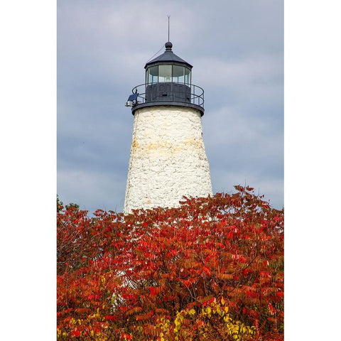USA-New England-Maine-Dyce Head Lighthouse Black Modern Wood Framed Art Print by Gulin, Sylvia