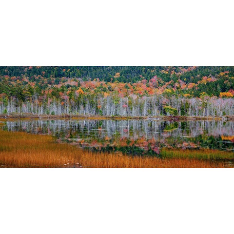 USA-New England-Maine-Mt-Desert Island-Acadia National Park with small lake with hillsides in Autum Black Modern Wood Framed Art Print by Gulin, Sylvia