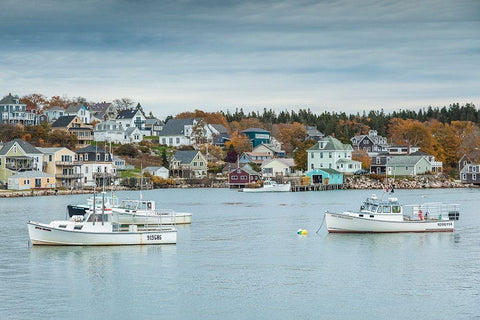 Maine-Stonington-Stonington Harbor-autumn White Modern Wood Framed Art Print with Double Matting by Bibikow, Walter