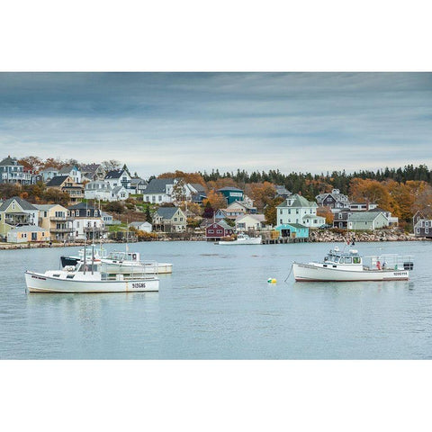 Maine-Stonington-Stonington Harbor-autumn Gold Ornate Wood Framed Art Print with Double Matting by Bibikow, Walter