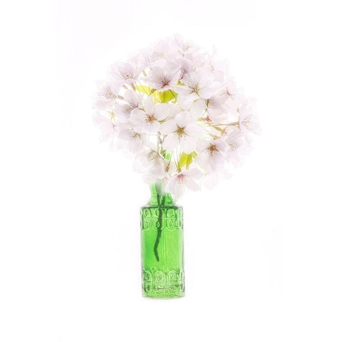 Maryland-Bethesda Green vase with cherry blossoms Black Modern Wood Framed Art Print with Double Matting by Looney, Hollice