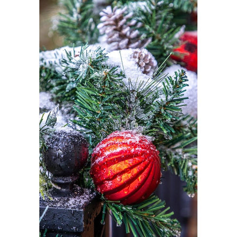 USA-Maryland-Bethesda-First snowfall on Holiday decoration White Modern Wood Framed Art Print by Looney, Hollice