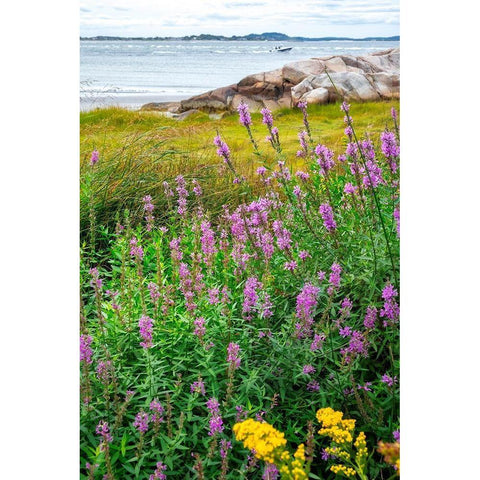 Ipswich Bay-Annisquam-Massachusetts-USA Black Modern Wood Framed Art Print by Engelbrecht, Lisa S.