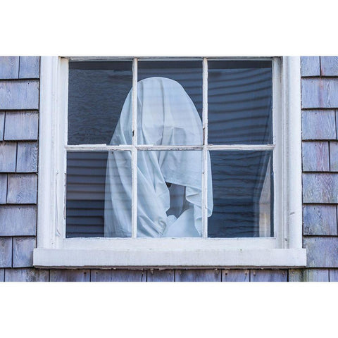 USA-Massachusetts-Nantucket Island. Nantucket Town-wrapped shape in window Gold Ornate Wood Framed Art Print with Double Matting by Bibikow, Walther