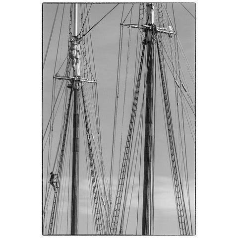New England-Massachusetts-Cape Ann-Gloucester-Gloucester Schooner Festival-schooner masts White Modern Wood Framed Art Print by Bibikow, Walter