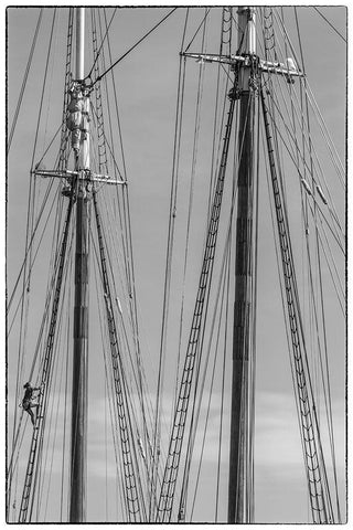 New England-Massachusetts-Cape Ann-Gloucester-Gloucester Schooner Festival-schooner masts Black Ornate Wood Framed Art Print with Double Matting by Bibikow, Walter