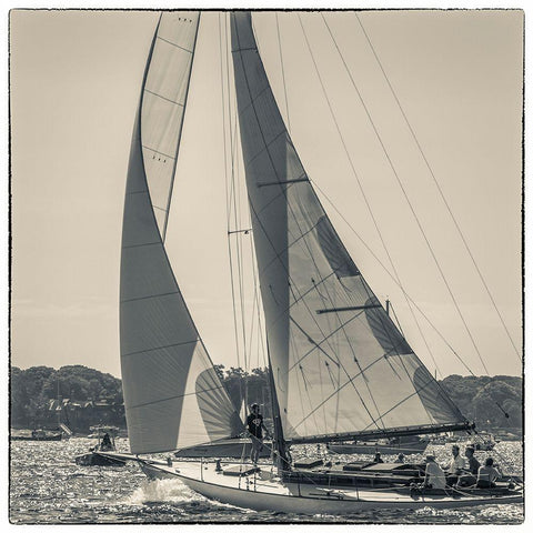 New England-Massachusetts-Cape Ann-Gloucester-Gloucester Schooner Festival-schooner parade of sail Black Modern Wood Framed Art Print with Double Matting by Bibikow, Walter