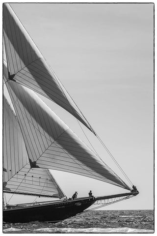 New England-Massachusetts-Cape Ann-Gloucester-Gloucester Schooner Festival-schooner parade of sail White Modern Wood Framed Art Print with Double Matting by Bibikow, Walter