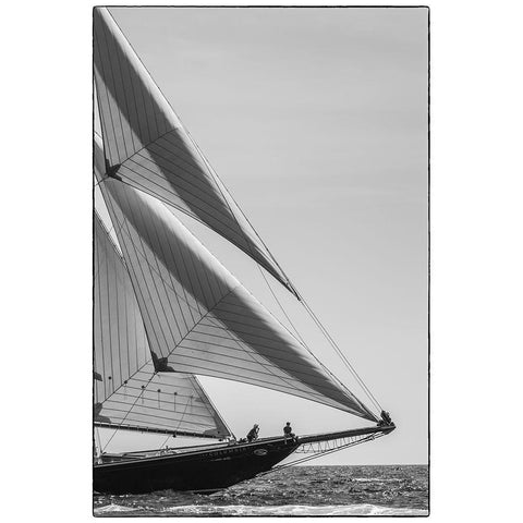 New England-Massachusetts-Cape Ann-Gloucester-Gloucester Schooner Festival-schooner parade of sail Black Modern Wood Framed Art Print by Bibikow, Walter