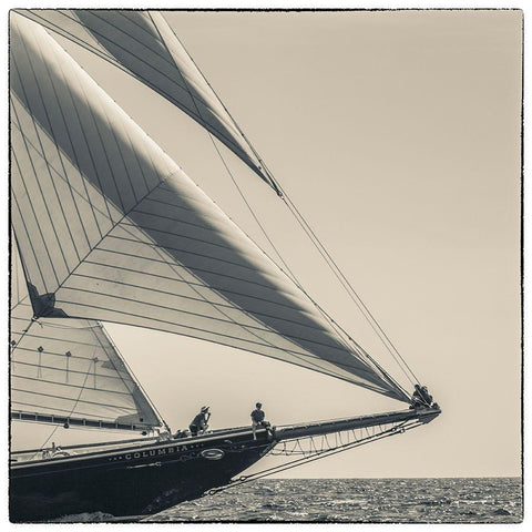 New England-Massachusetts-Cape Ann-Gloucester-Gloucester Schooner Festival-schooner parade of sail Gold Ornate Wood Framed Art Print with Double Matting by Bibikow, Walter