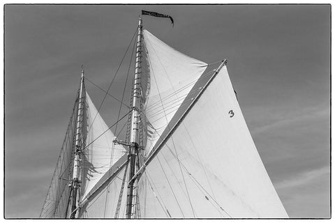 New England-Massachusetts-Cape Ann-Gloucester-Gloucester Schooner Festival-schooner sails Black Ornate Wood Framed Art Print with Double Matting by Bibikow, Walter