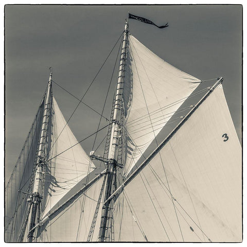 New England-Massachusetts-Cape Ann-Gloucester-Gloucester Schooner Festival-schooner sails Black Modern Wood Framed Art Print with Double Matting by Bibikow, Walter