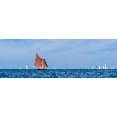 New England-Massachusetts-Cape Ann-Gloucester-Gloucester Schooner Festival-schooner parade of sail Black Modern Wood Framed Art Print with Double Matting by Bibikow, Walter