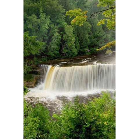 Upper Tahquamenon Falls-Tahquamenon Falls State Park-Upper Peninsula-Michigan White Modern Wood Framed Art Print by Majchrowicz, Alan