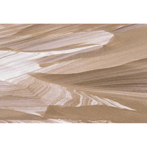 MI, Sand dune dusted with winter snowfall Gold Ornate Wood Framed Art Print with Double Matting by Carlson, Mark