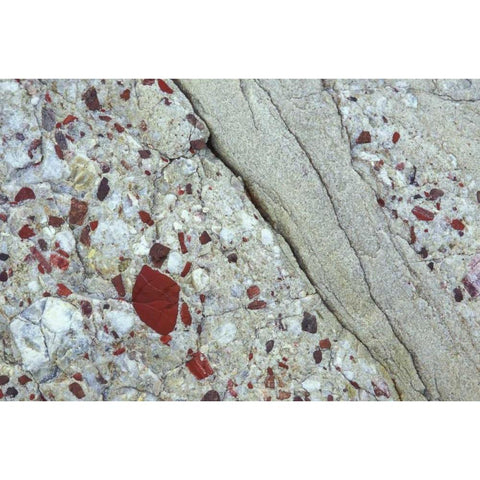 MI, Drummond Island, Close up of patterns in rock Black Modern Wood Framed Art Print by Carlson, Mark