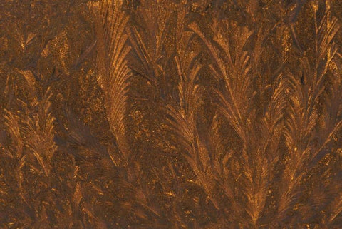 Michigan, Frost patterns on window at sunrise Black Ornate Wood Framed Art Print with Double Matting by Carlson, Mark