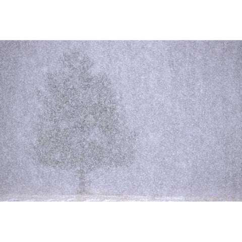 MI, White pine in a heavy snow squall Black Modern Wood Framed Art Print by Carlson, Mark