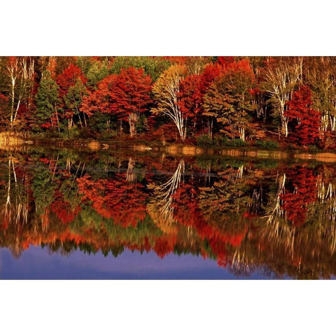 United States, MI, Fall reflects in Thornton Lake Gold Ornate Wood Framed Art Print with Double Matting by Welling, Dave