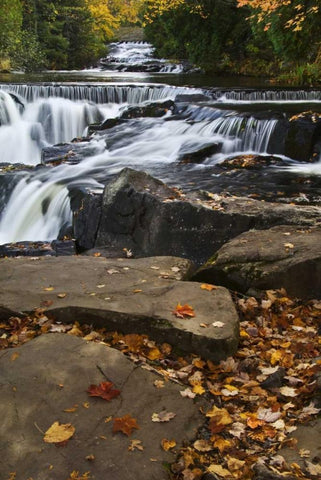 Michigan Bond Falls and fall foliage Black Ornate Wood Framed Art Print with Double Matting by Rotenberg, Nancy