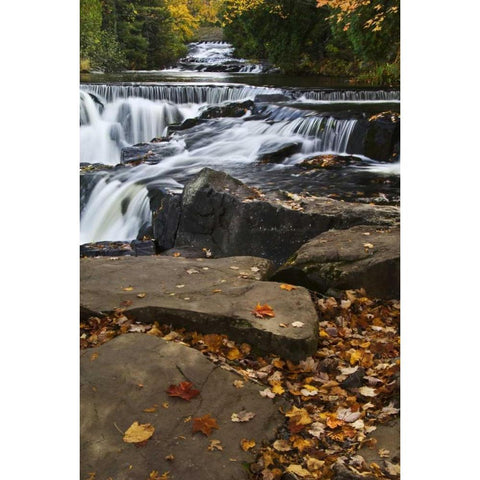 Michigan Bond Falls and fall foliage Black Modern Wood Framed Art Print by Rotenberg, Nancy