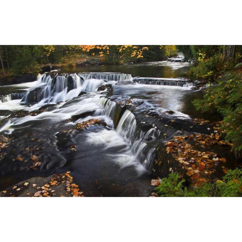 Michigan Bond Falls and fall foliage Black Modern Wood Framed Art Print by Rotenberg, Nancy