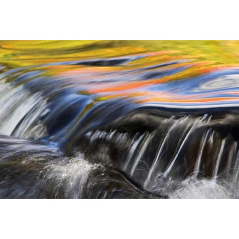 Michigan Fall reflections at Bond Falls White Modern Wood Framed Art Print by Rotenberg, Nancy