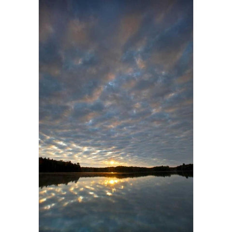 Michigan Sunrise at Petes Lake in autumn Gold Ornate Wood Framed Art Print with Double Matting by Rotenberg, Nancy