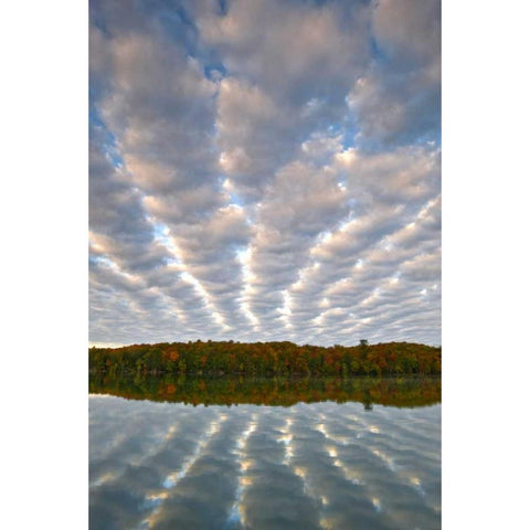 Michigan Clouds over Petes Lake in autumn Gold Ornate Wood Framed Art Print with Double Matting by Rotenberg, Nancy