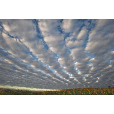 Michigan Clouds over Petes Lake in autumn Black Modern Wood Framed Art Print by Rotenberg, Nancy