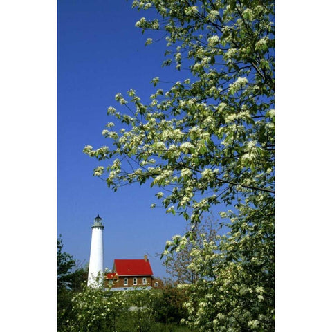 MI, East Tawas Tawas Lighthouse and cherry trees White Modern Wood Framed Art Print by Carlson, Mark