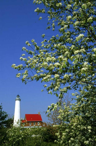 MI, East Tawas Tawas Lighthouse and cherry trees White Modern Wood Framed Art Print with Double Matting by Carlson, Mark