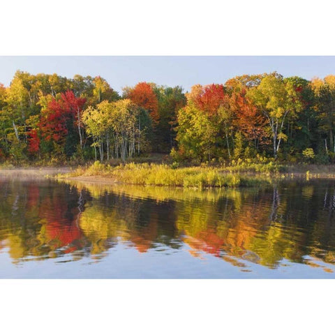 MI, Autumn in Bond Falls Recreation Area Black Modern Wood Framed Art Print by Bush, Marie
