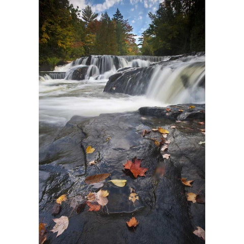Michigan, Upper Peninsula Bond Falls in autumn Gold Ornate Wood Framed Art Print with Double Matting by Rotenberg, Nancy