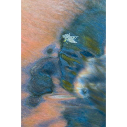 Michigan, Upper Peninsula Bond Falls reflections Black Modern Wood Framed Art Print with Double Matting by Rotenberg, Nancy