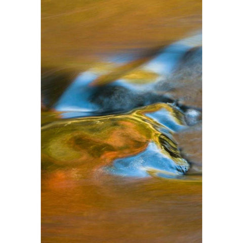 Michigan, Upper Peninsula Bond Falls reflections Gold Ornate Wood Framed Art Print with Double Matting by Rotenberg, Nancy